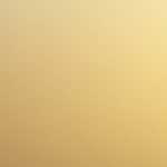 資格取得は、独学・通信講座・予備校どれがおすすめ？