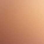 資格取得と就職どちらを優先すべきか？